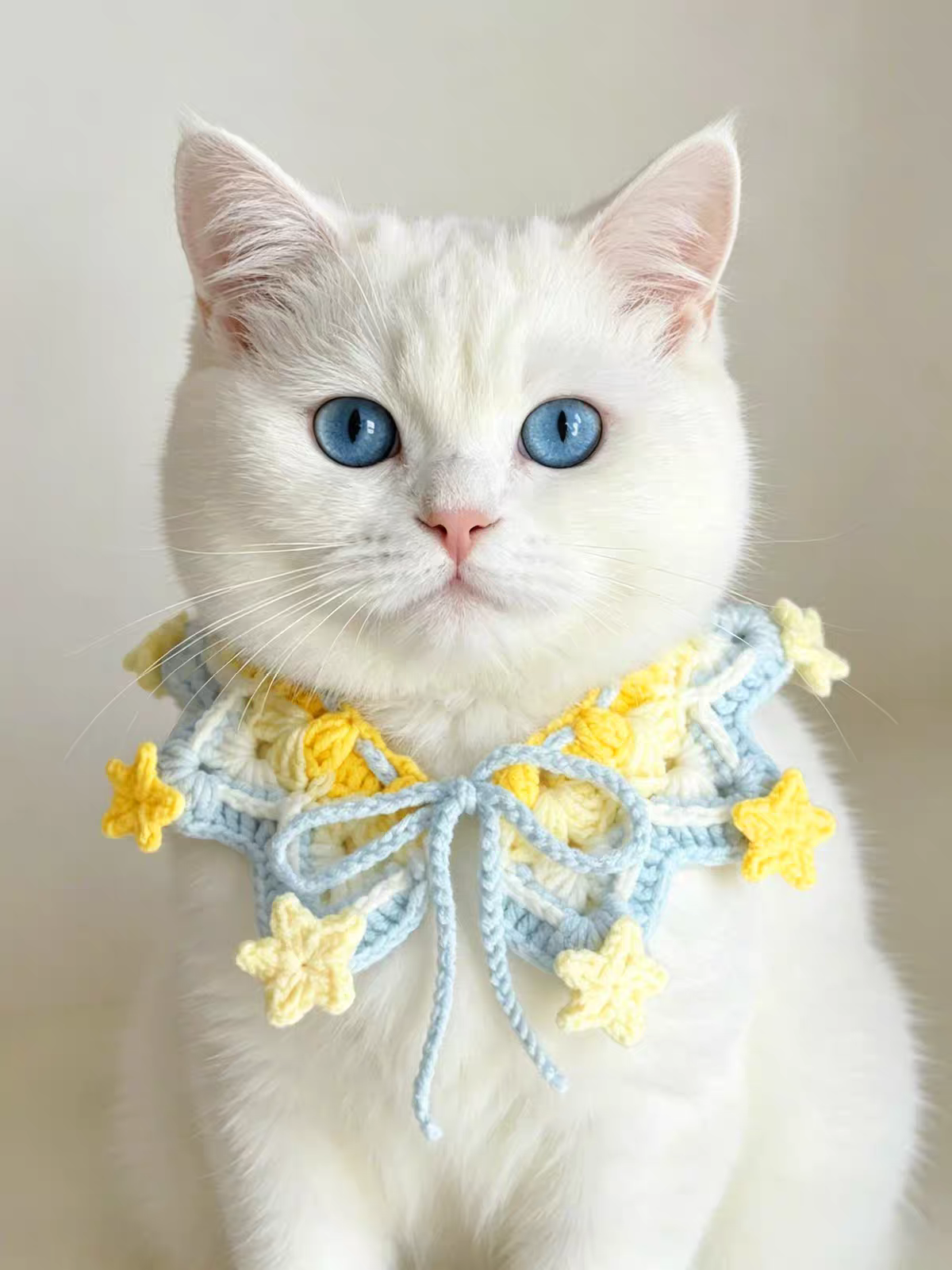 Crochet cat collar scarf styled on a cat for a cozy handmade pet accessory look