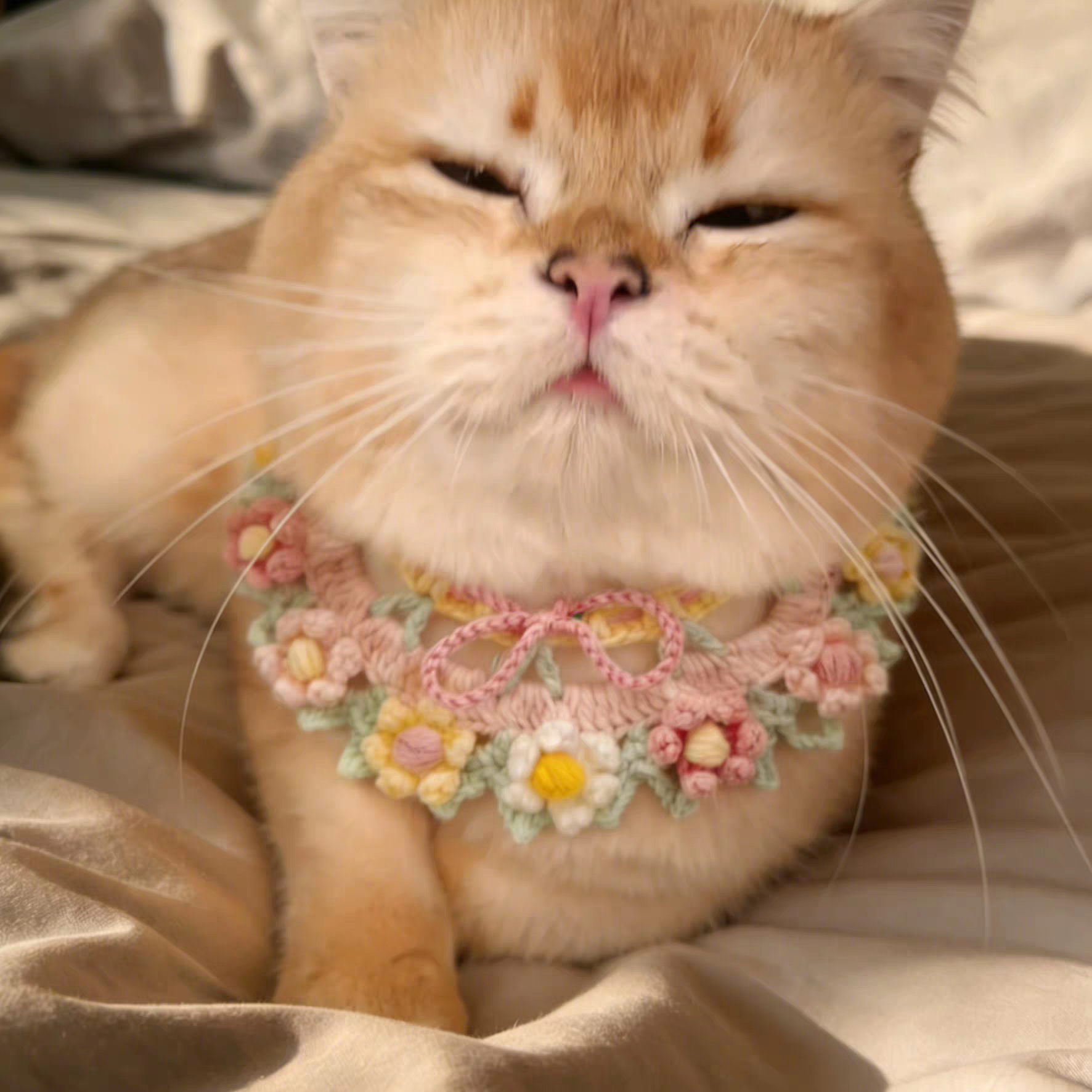 Handmade Crochet Cat Flower Collar Scarf - Soft Yarn Pet Neckwear - Image 8