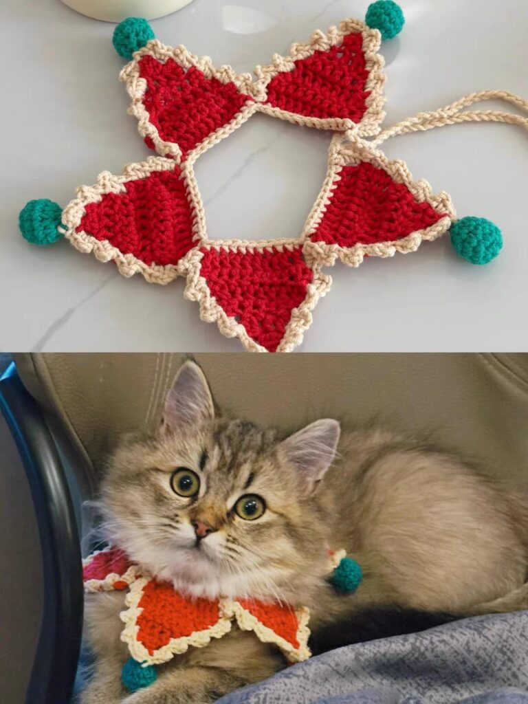Red and orange crochet cat collar scarf details